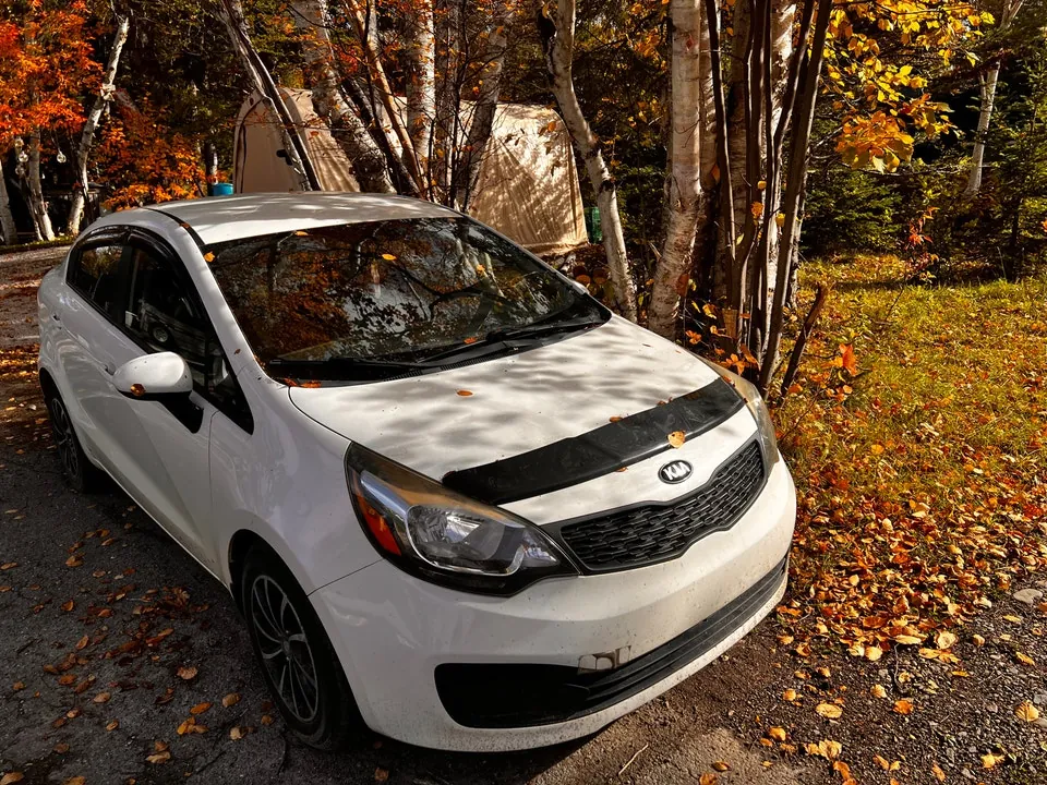 Kia Rio 2014 photo 2
