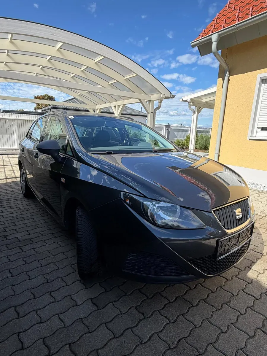 Seat Ibiza 2010 photo 2