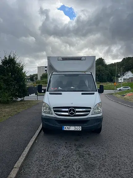 Mercedes-Benz Sprinter 316 2010 photo 2