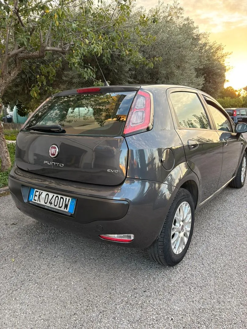Fiat Punto Evo 2011 photo 4