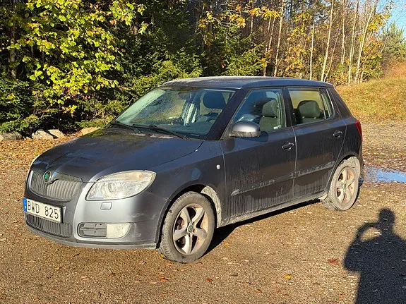 Skoda Fabia 2009 photo 2