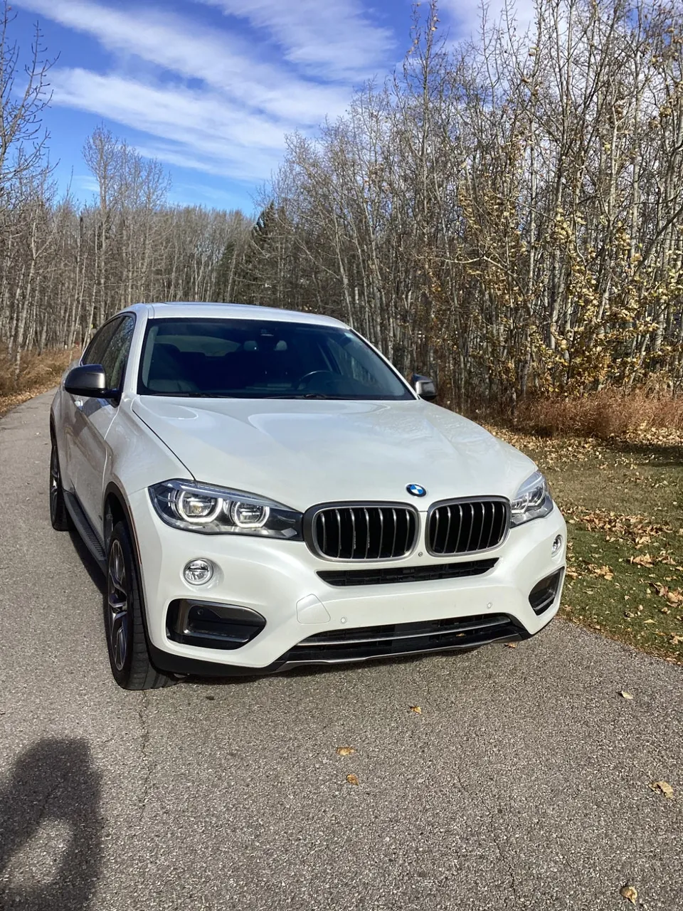 BMW X6 2015 photo 2