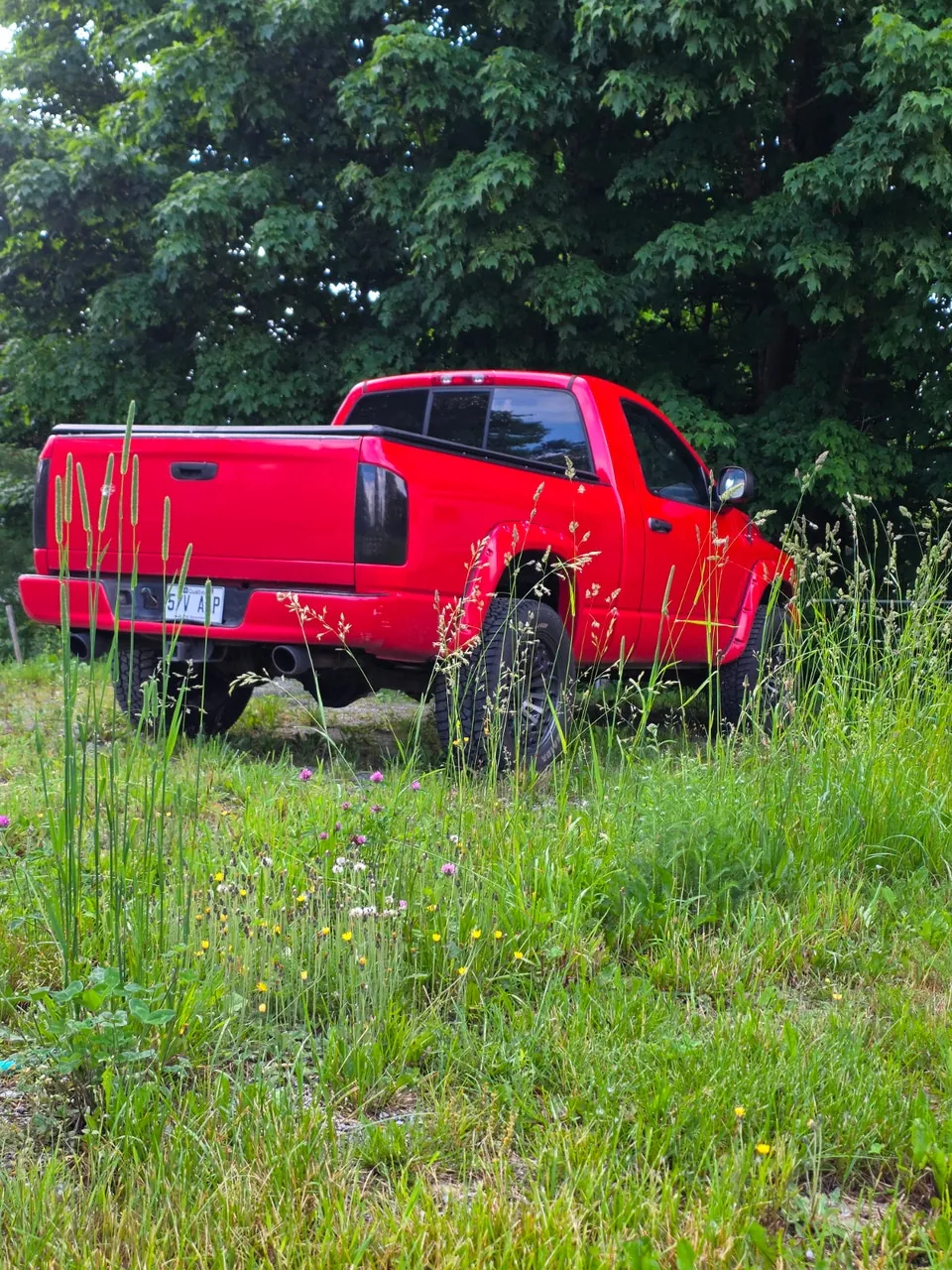 Dodge Ram 1500 2002 photo 2
