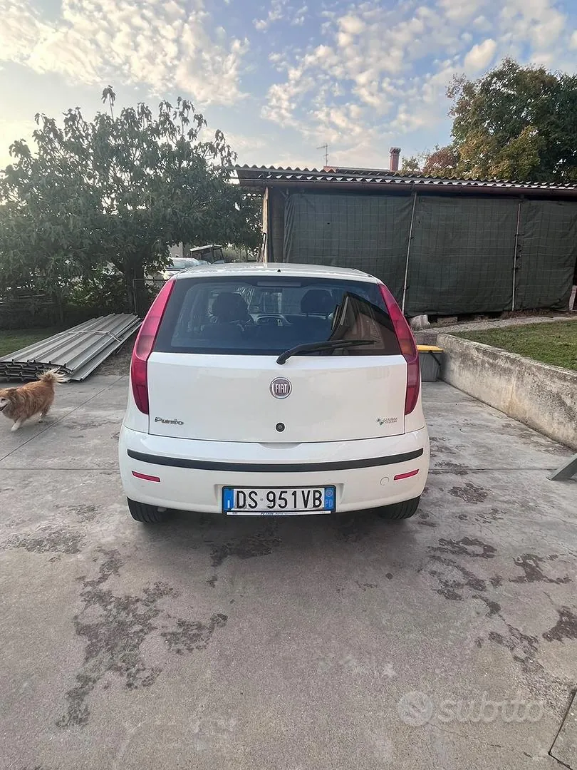 Fiat Punto 2008 photo 2