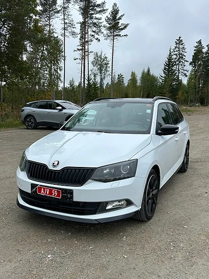 Skoda Fabia 2017 photo 4