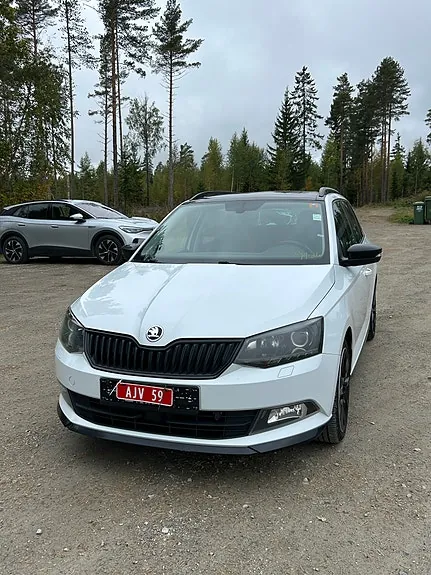 Skoda Fabia 2017 photo 3