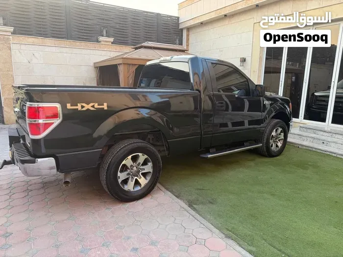 Ford F-150 2014 photo 3