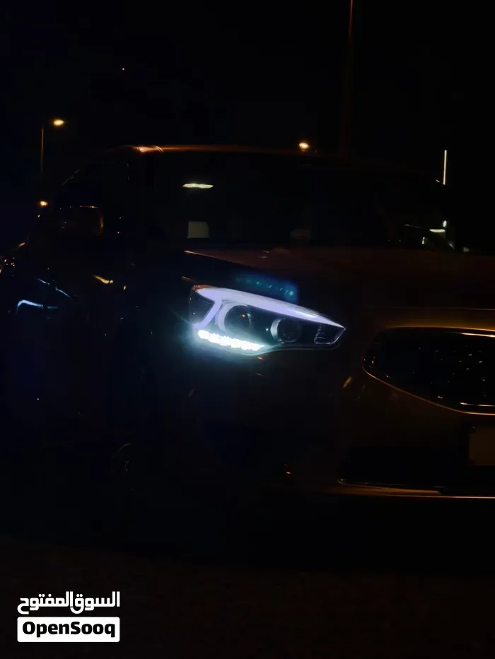 Kia Cadenza 2014 photo 4