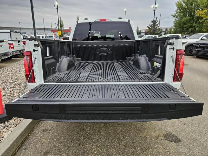 Ford F-150 2024 photo 5
