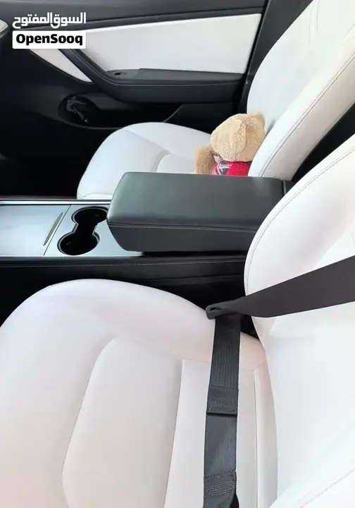 Tesla Model 3 2021 photo 4