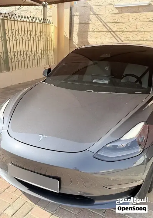 Tesla Model 3 2021 photo 3