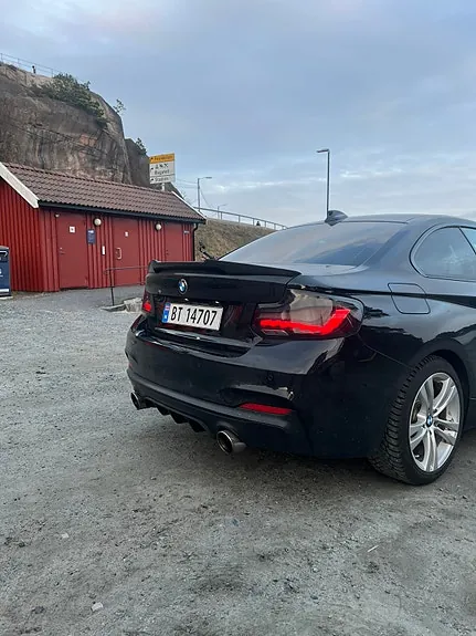 BMW 220I 2015 photo 4