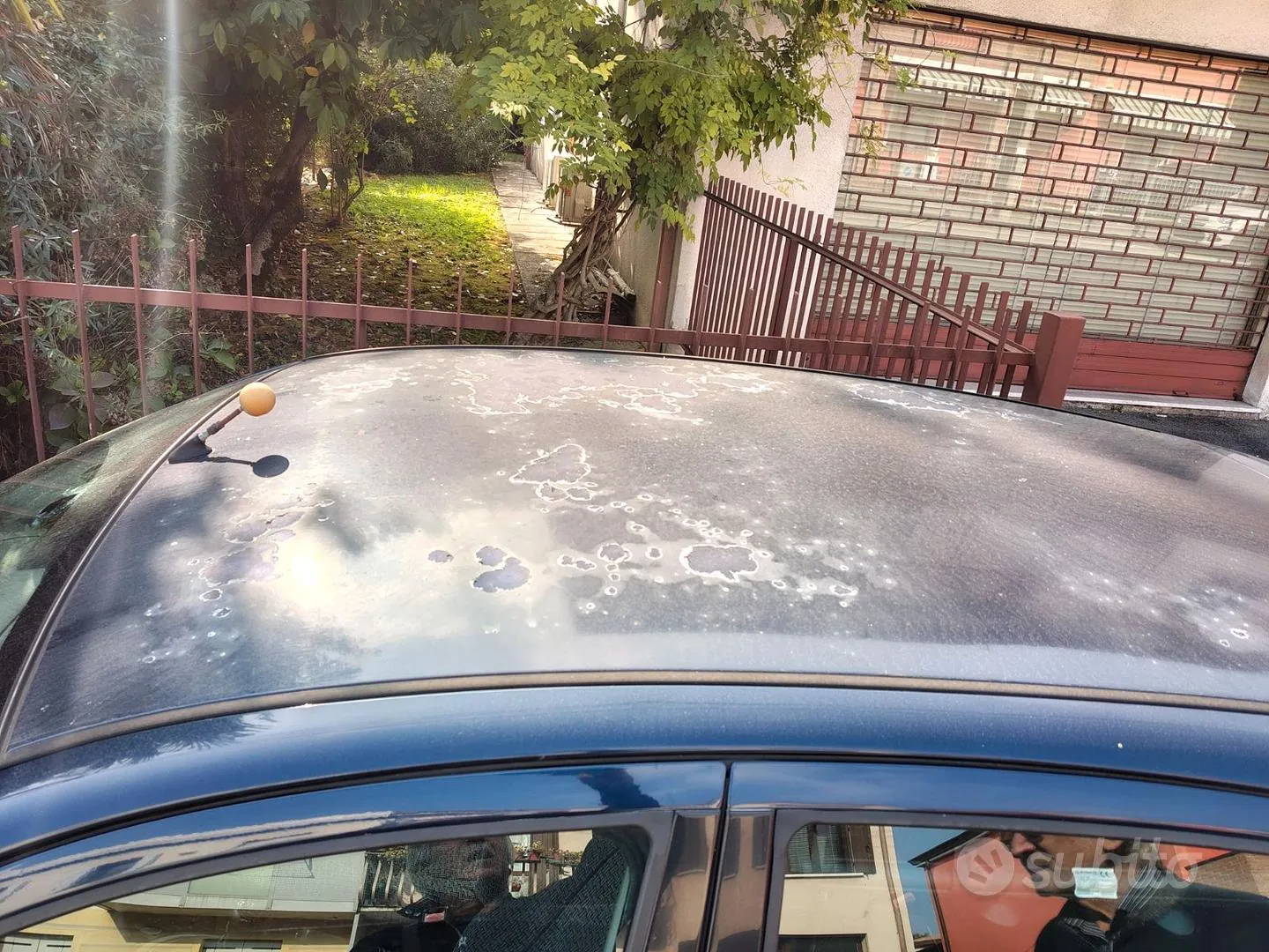 Ford Focus 2004 photo 3
