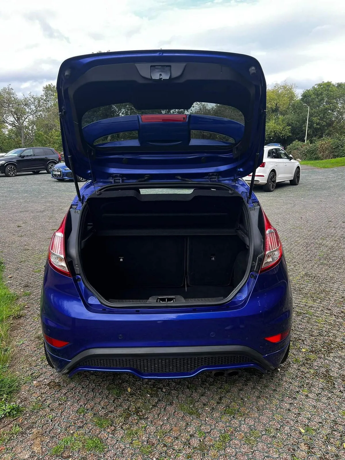 Ford Fiesta 2017 photo 2