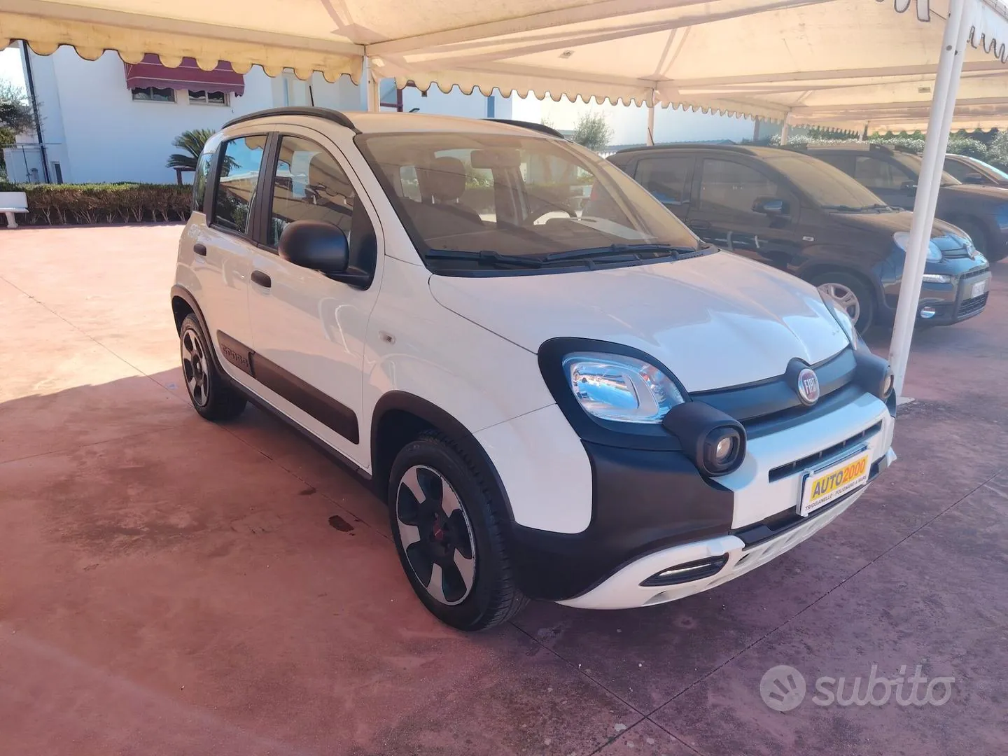 Fiat Panda 2022 photo 3