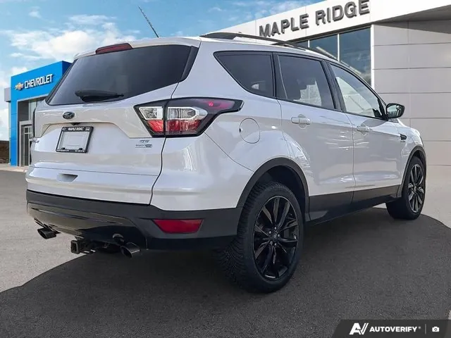 Ford Escape 2017 photo 5