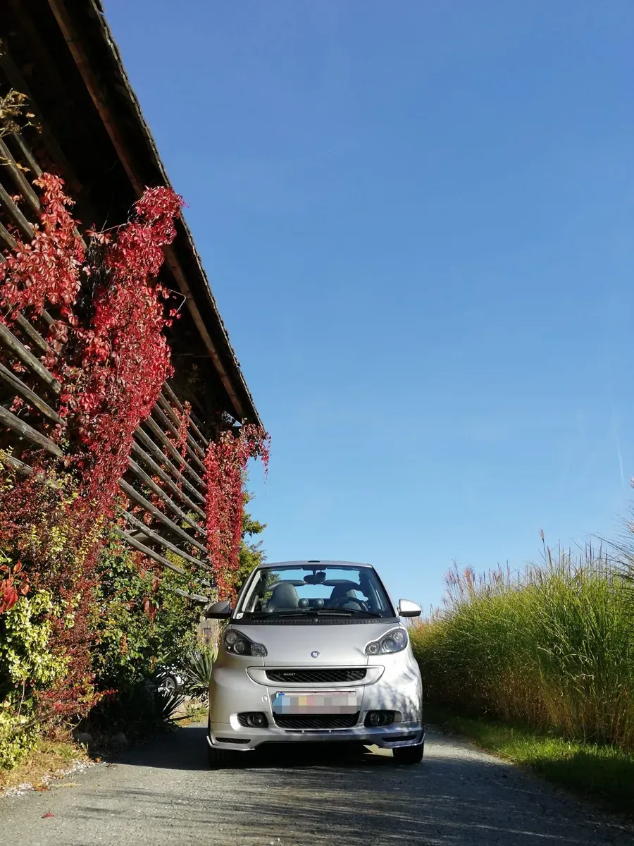 Smart Fortwo 2009 photo 3