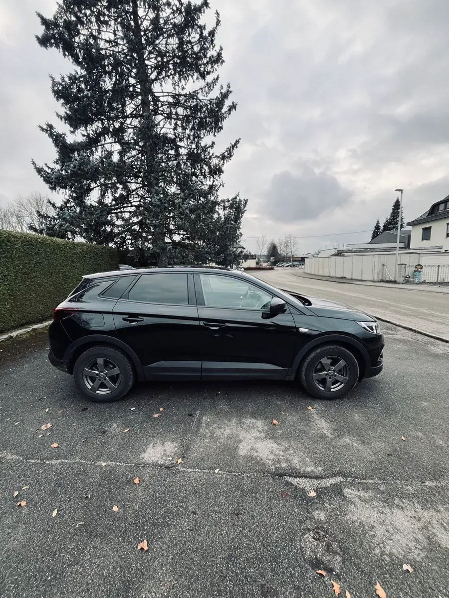 Opel Grandland X 2020 photo 3