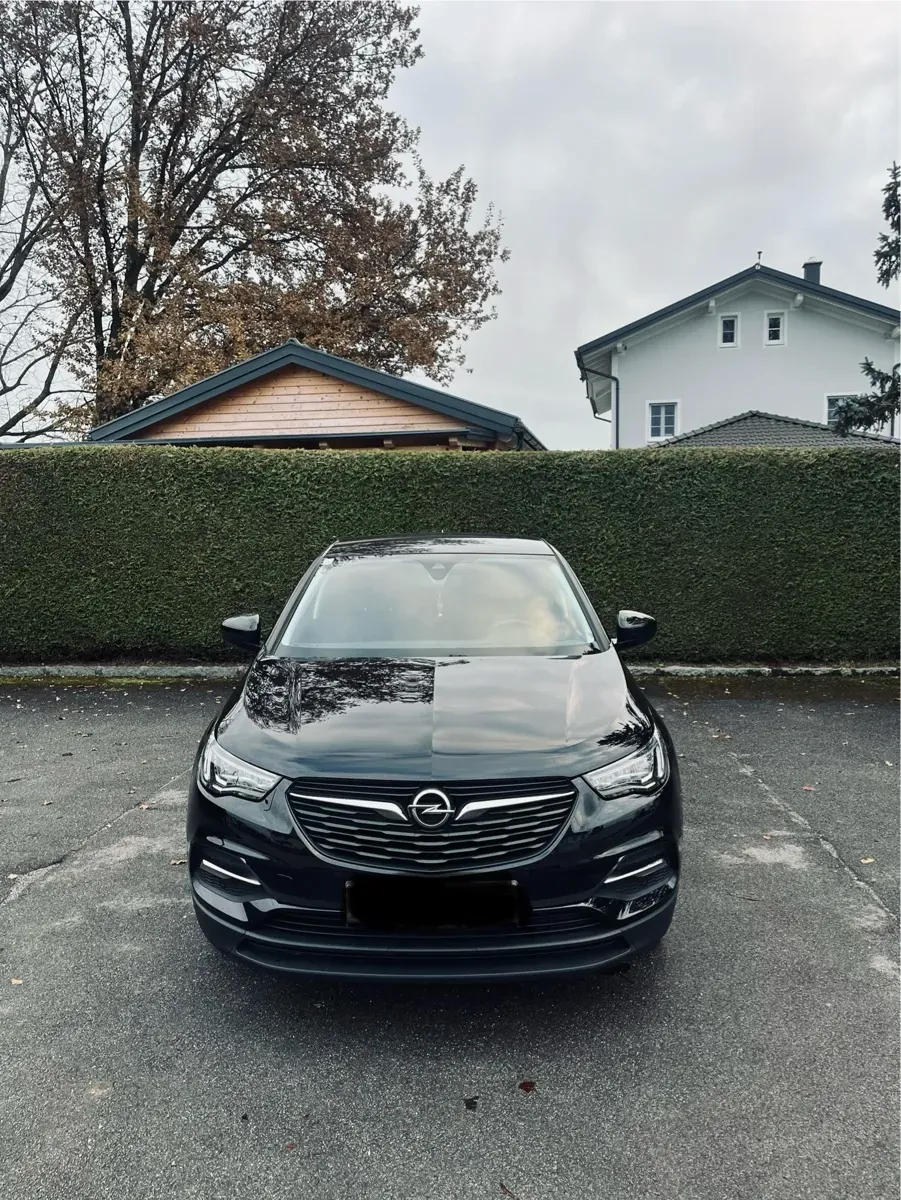 Opel Grandland X 2020 photo 2