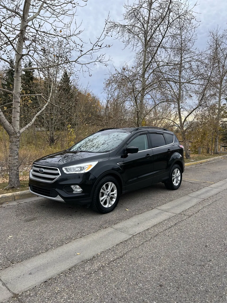 Ford Escape 2017 photo 2