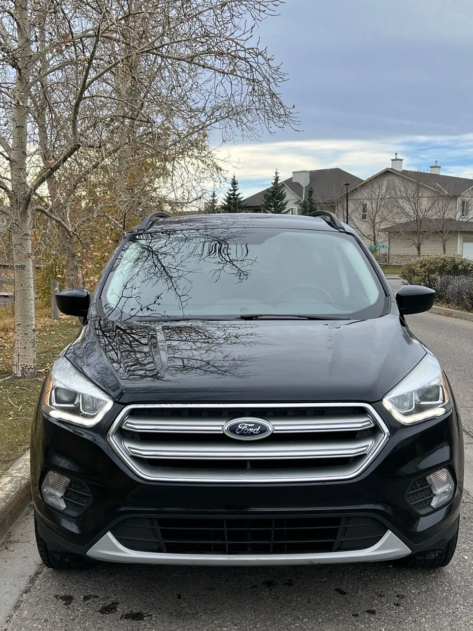 Ford Escape 2017 photo 3