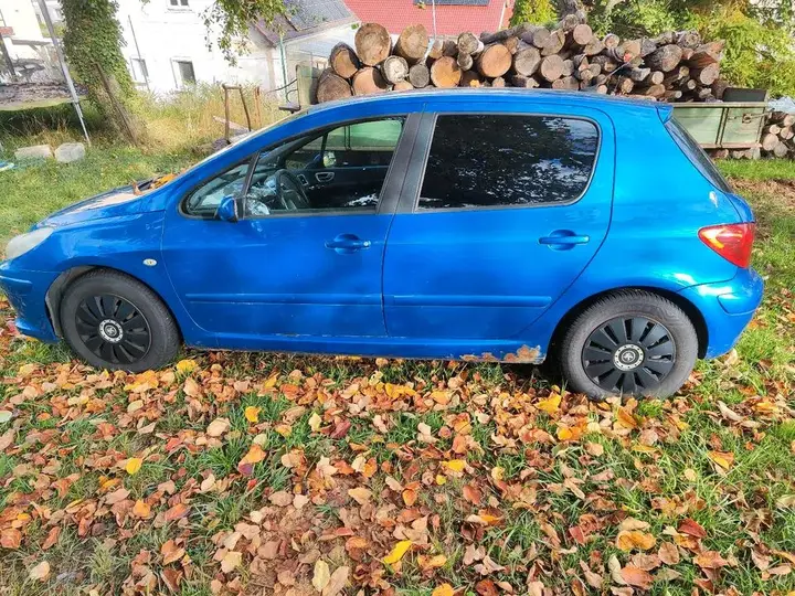 Peugeot 307