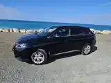 Lexus Rx 2010 photo 4