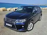 Lexus Rx 2010 photo 2