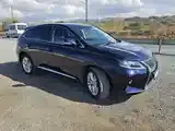 Lexus Rx 2010 photo 5