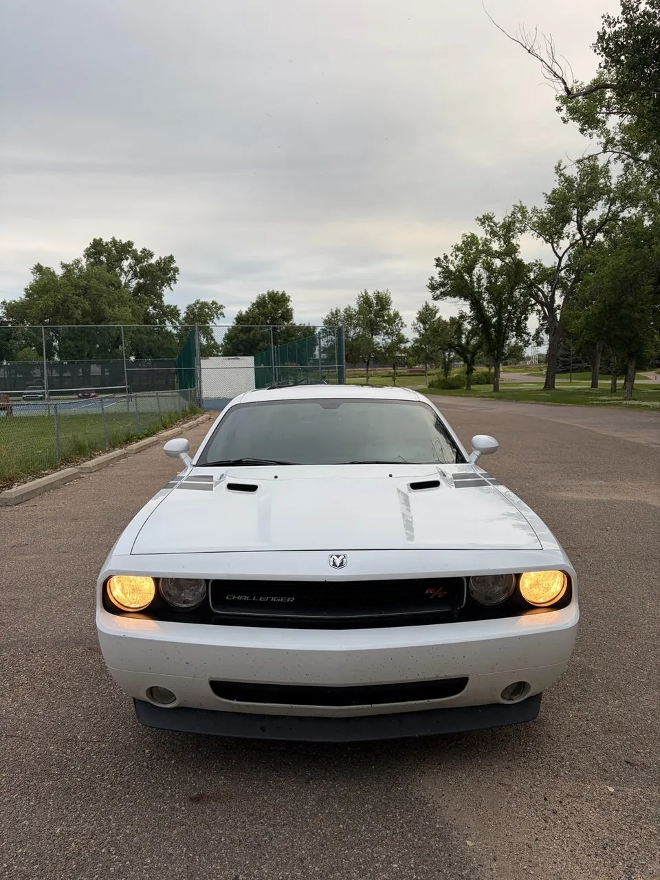Dodge Challenger 2010 photo 4
