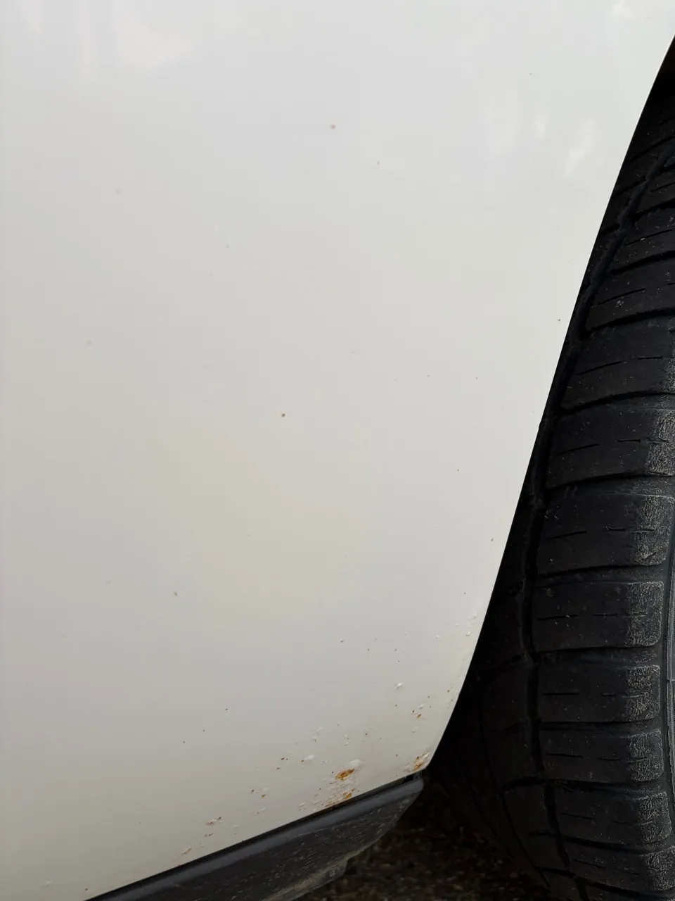 Dodge Challenger 2010 photo 5