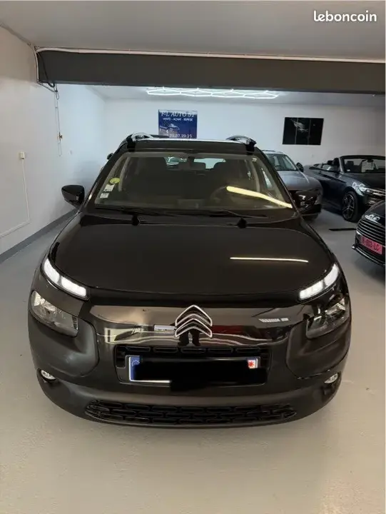 Citroen C4 Cactus 2015 photo 2