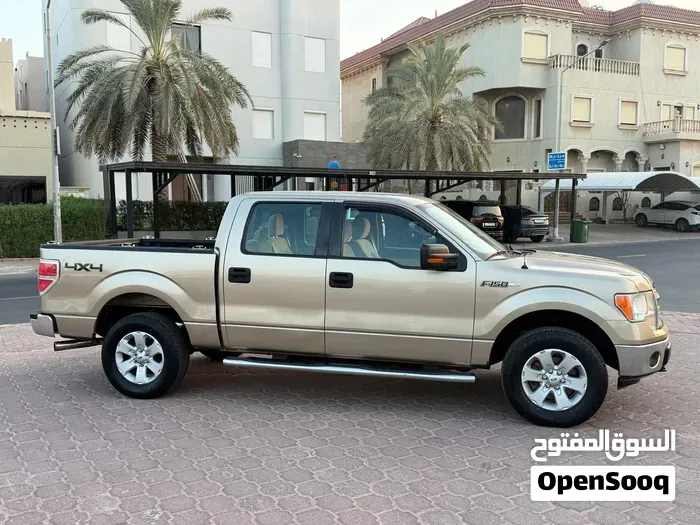 Ford F-150 2014 photo 3