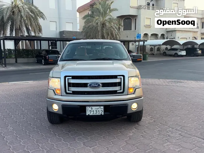 Ford F-150 2014 photo 2