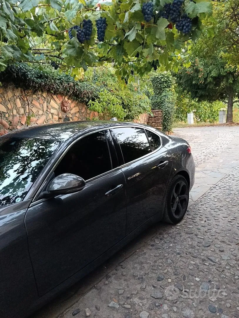Alfa Romeo Giulia 2019 photo 5