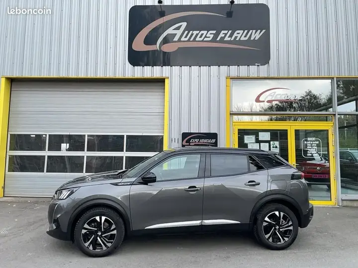 Peugeot 2008 2020 photo 2