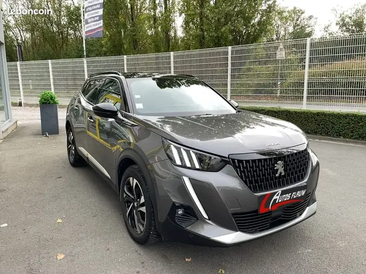 Peugeot 2008 2020 photo 5
