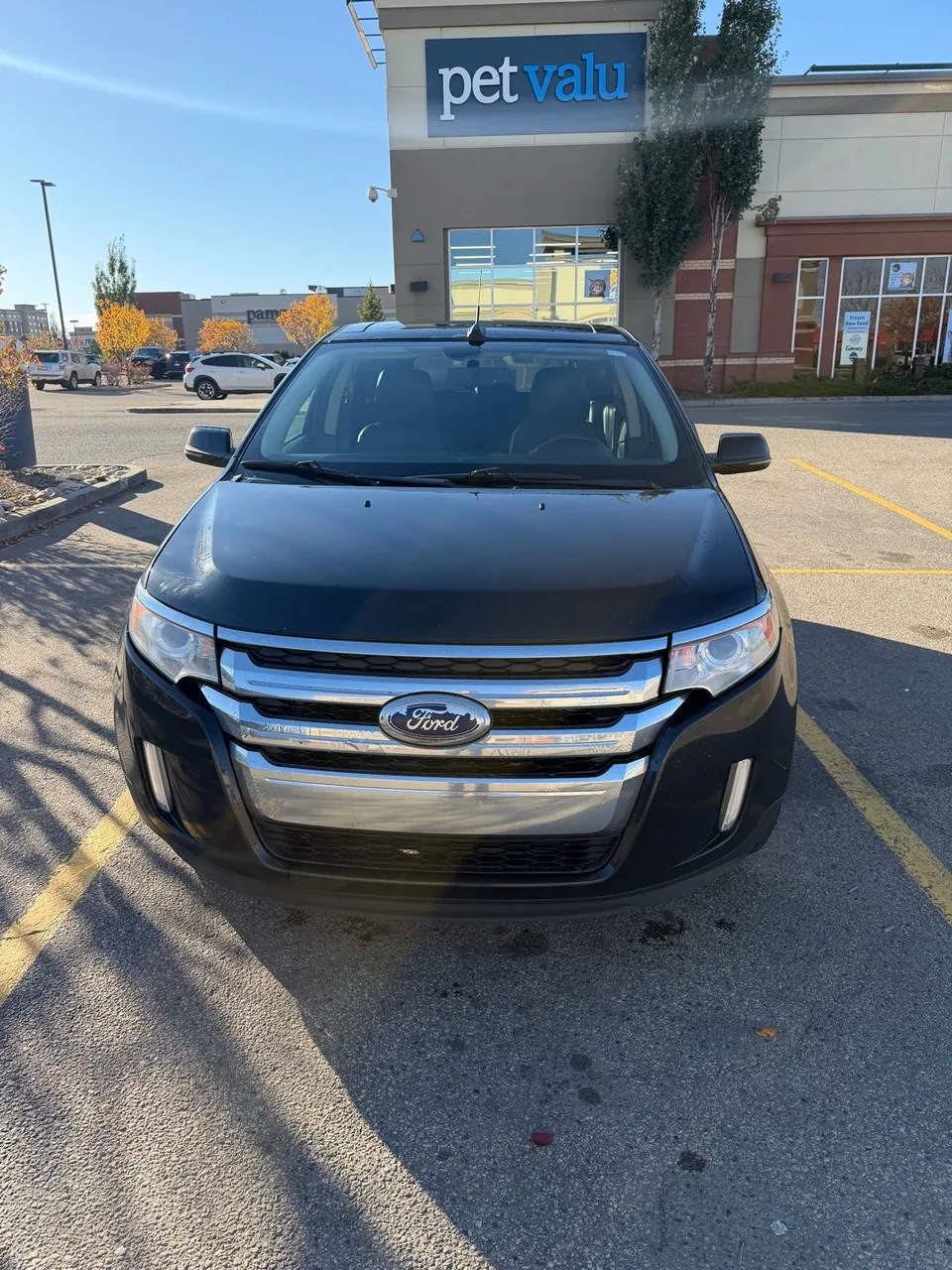 Ford Edge 2013 photo 2