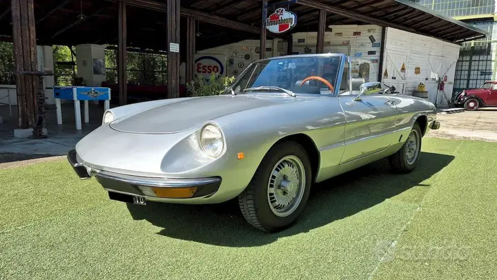 Alfa Romeo Spider