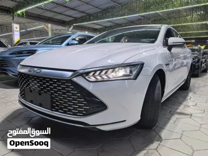 BYD Qin Plus 2026 photo 2