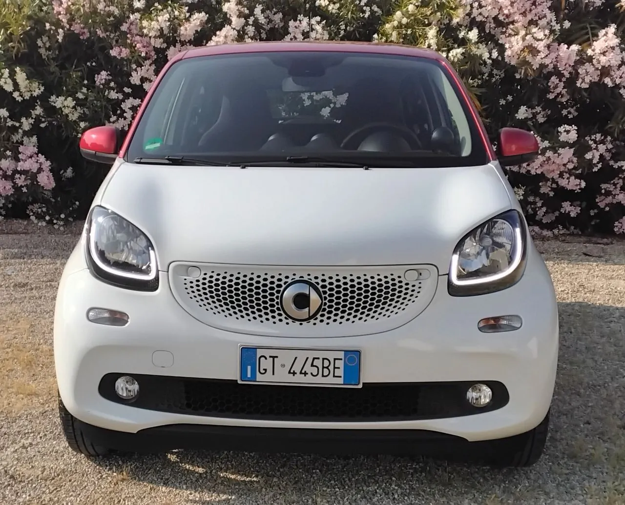 Smart Forfour 2018 photo 3