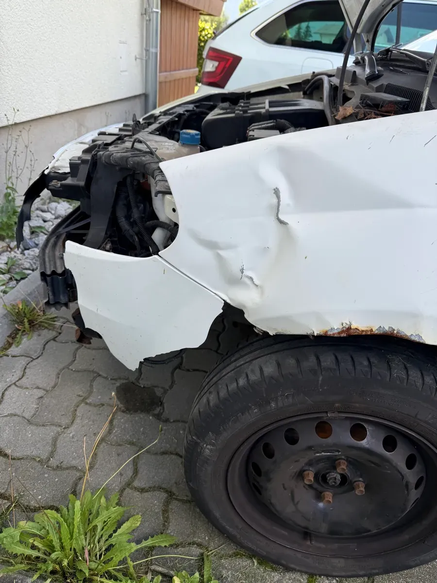 Fiat Punto 2008 photo 2