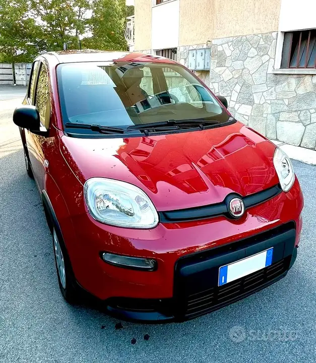 Fiat Panda 2024 photo 2