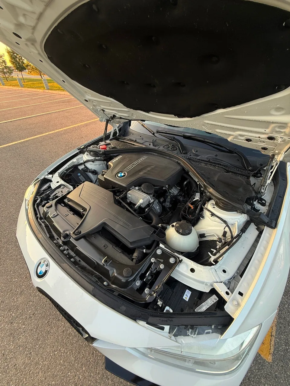 BMW 320I 2012 photo 5
