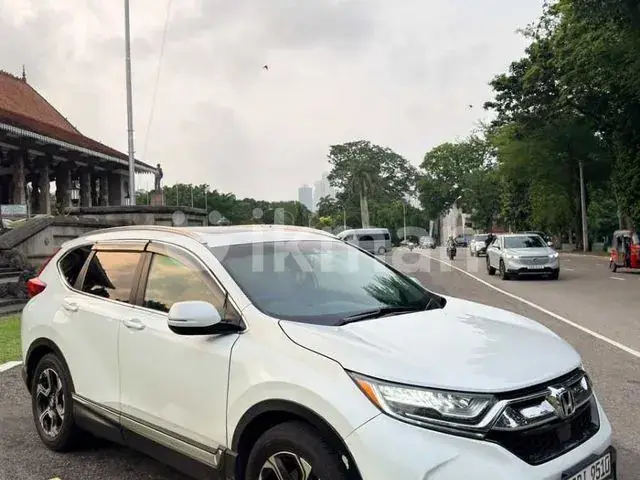 Honda Crv 2019 photo 3