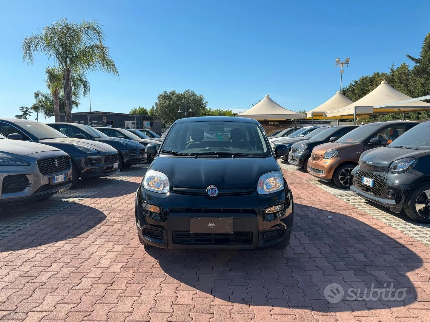 Fiat Panda 2023 photo 2