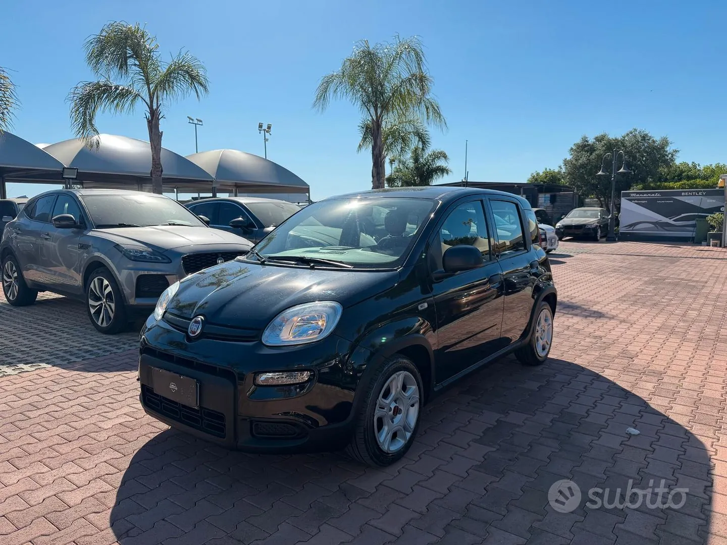 Fiat Panda 2023 photo 3