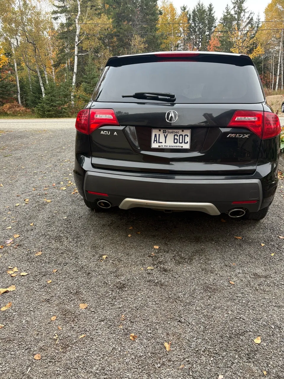 Acura Mdx 2008 photo 2