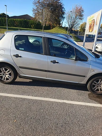 Peugeot 307 2002 photo 4