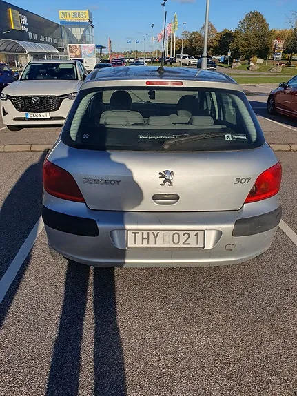 Peugeot 307 2002 photo 3